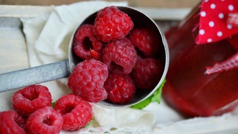 Fruits rouges : voici tous leurs bienfaits sur la santé !